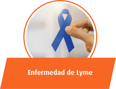 Enfermedad de Lyme