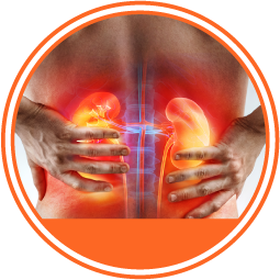 Insuficiencia renal crónica círculo